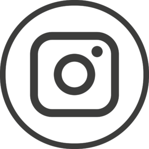 Instagram Icon in Circle (Grey)